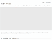 Tablet Screenshot of gincase.co.uk